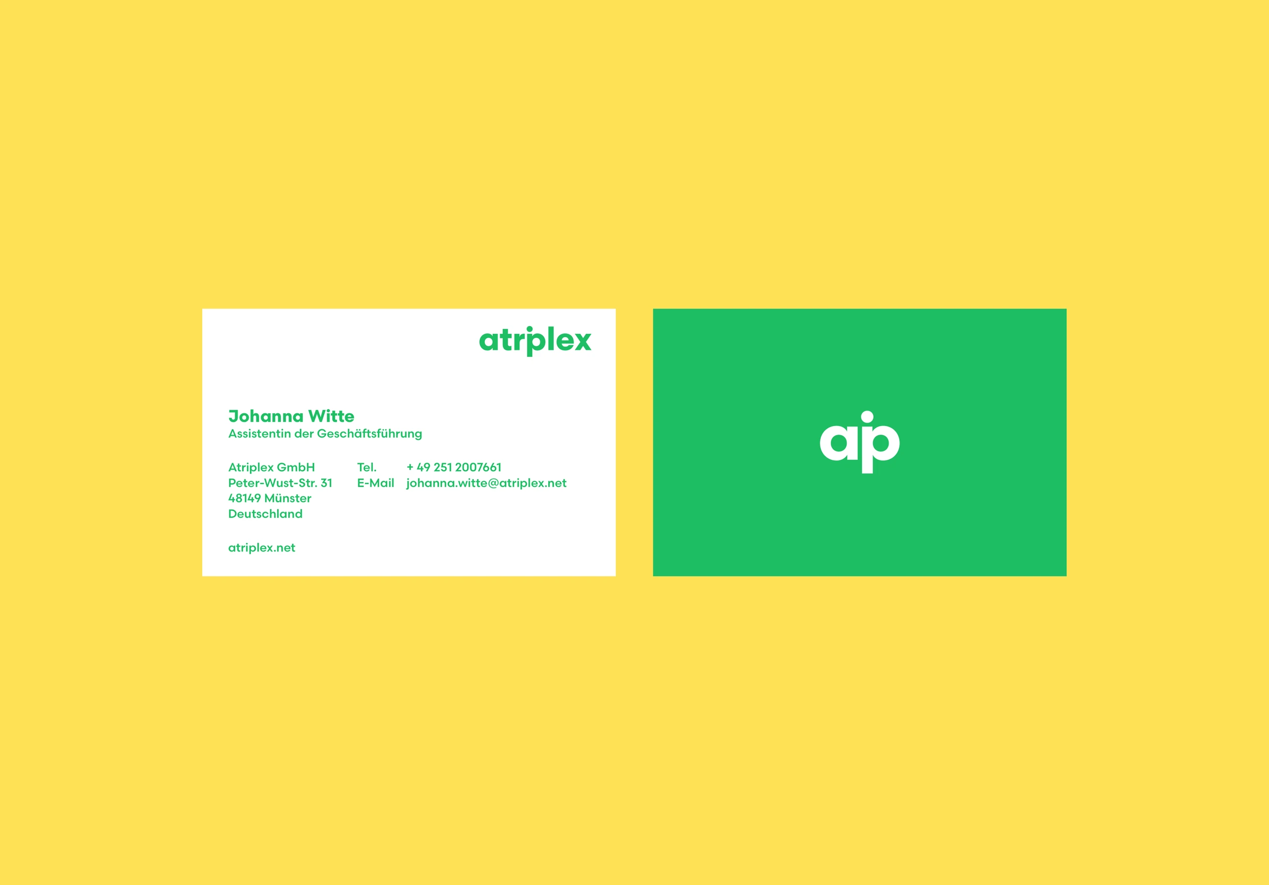 atriplex – Ansicht 9
