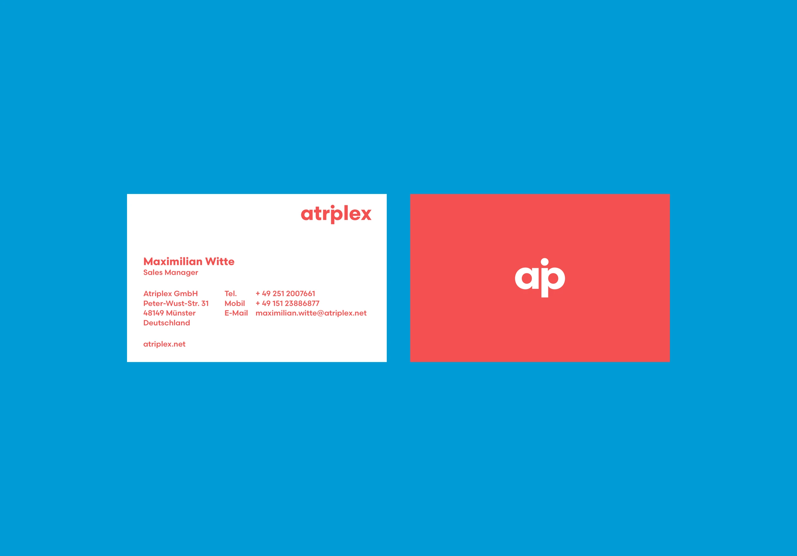 atriplex – Ansicht 10